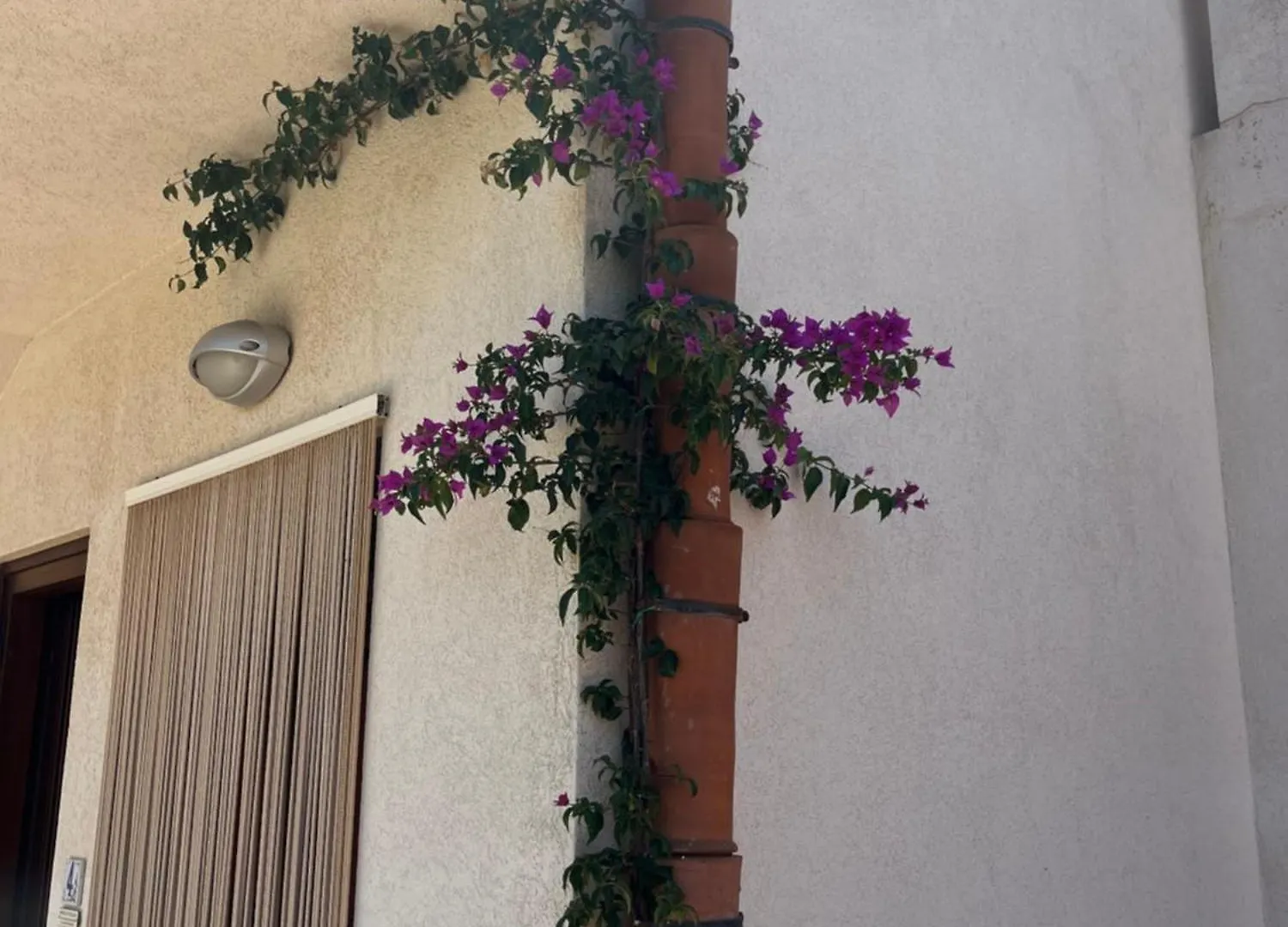 Hawaii Siciliane Apartman Castelluzzo Olaszország